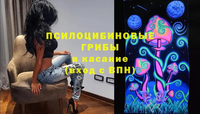 Псилоцибиновые грибы Magic Shrooms  Суздаль 